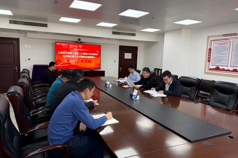 河南省测绘地理信息技术中心基础测绘处开展十一月份主题党日活动