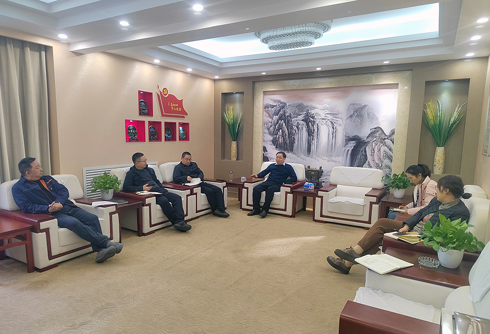 基层党组织书记述职评议会 压缩.jpg